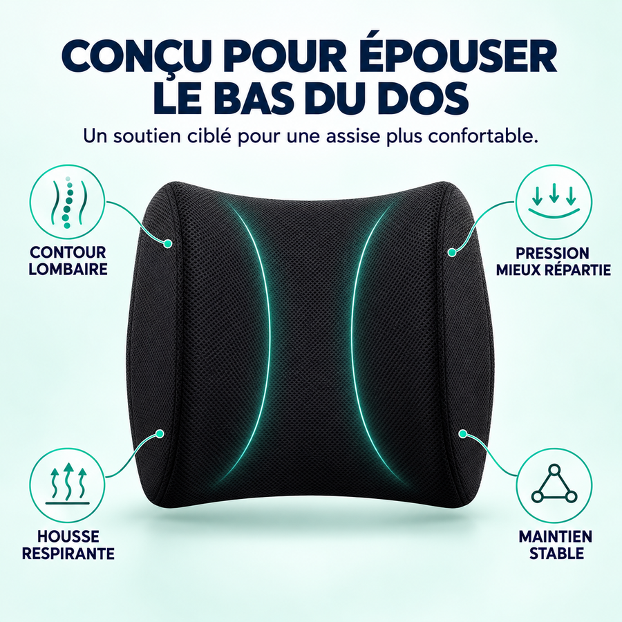 Coussin Orthopédique Dossier Alignuit